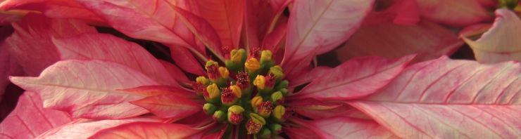 Outdoor Living Gifts & Decor at Stone Creek Nursery